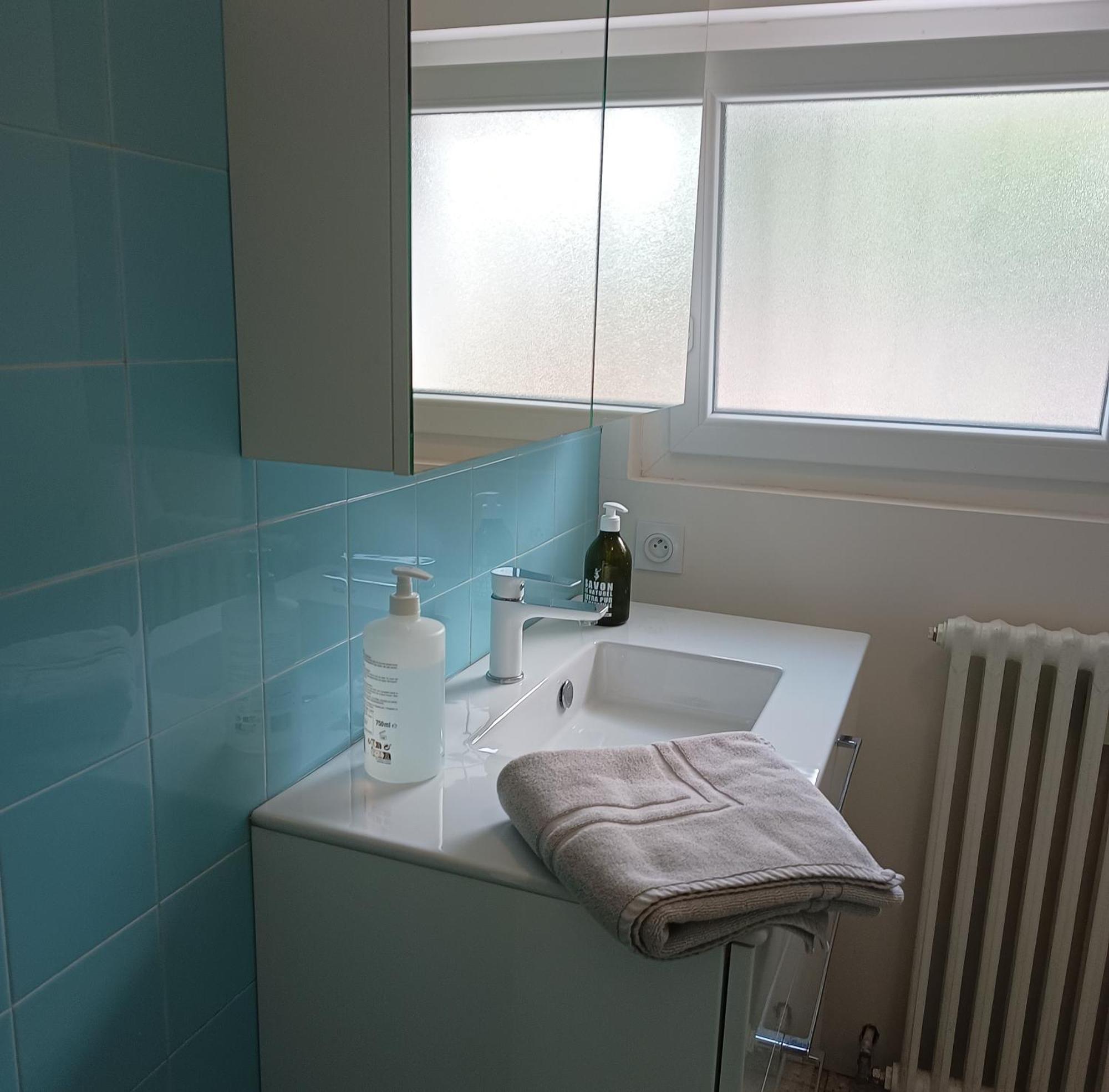 Grand Appartement, 2 Chambres Et Jardin Nîmes Eksteriør bilde